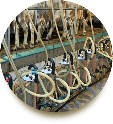 Heliades Farming Solutions About 3